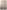 Widget image