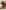 Widget image