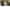 Widget image