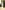 Widget image