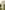 Widget image