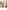 Widget image