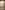 Widget image