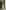 Bubbleroom Occasion Frill Tie Back Maxi Dress