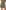 pcpia-mw-shorts-deep-lichen-green
