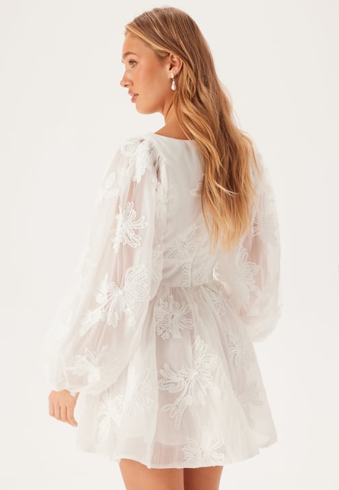 Bardot Eva Chiffon Mini Dress