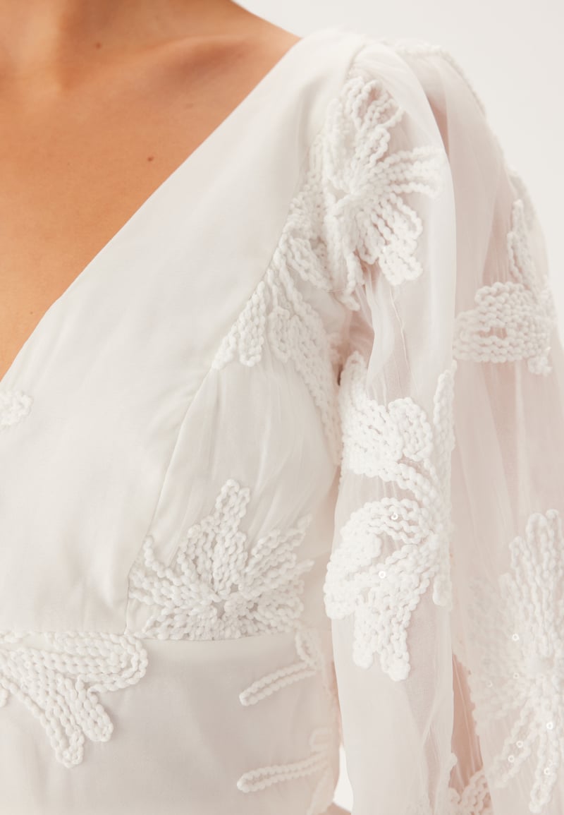 Bardot Eva Chiffon Mini Dress