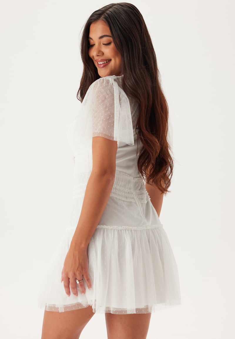 Bubbleroom Occasion Sonia Mesh Frill Dress