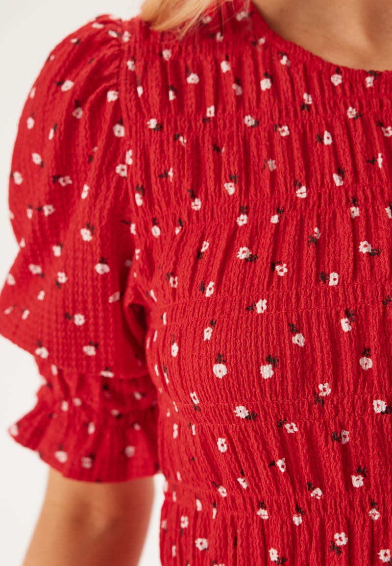 Happy Holly Short Sleeve Smock Dress