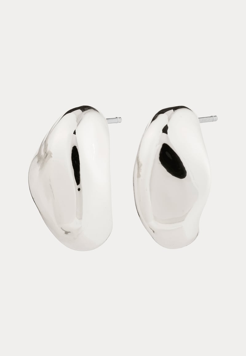 Pilgrim Dune Earrings Silver-plated