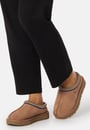 tasman-chestnut