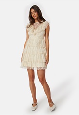 Bubbleroom Occasion Lace Frill Dress